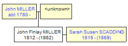 Mini tree diagram