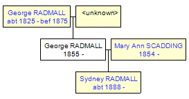 Mini tree diagram