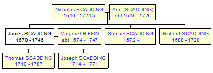 Mini tree diagram