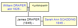 Mini tree diagram