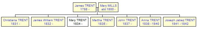 Mini tree diagram