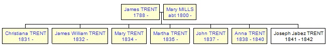 Mini tree diagram