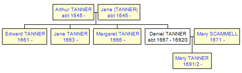 Mini tree diagram