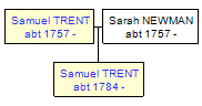 Mini tree diagram