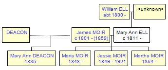 Mini tree diagram