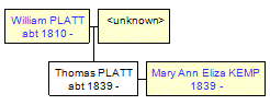 Mini tree diagram