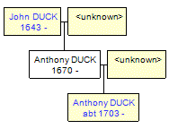 Mini tree diagram