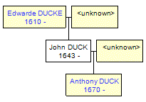 Mini tree diagram