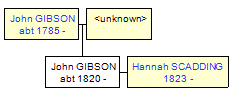 Mini tree diagram