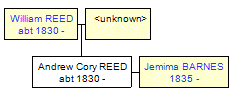 Mini tree diagram