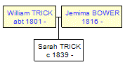 Mini tree diagram