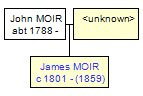 Mini tree diagram