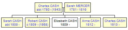 Mini tree diagram