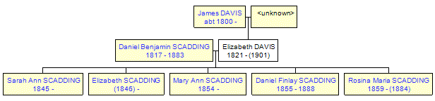 Mini tree diagram