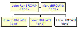 Mini tree diagram