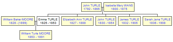 Mini tree diagram