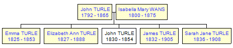 Mini tree diagram