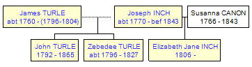 Mini tree diagram