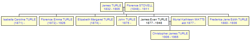 Mini tree diagram