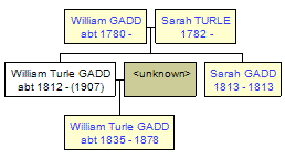 Mini tree diagram