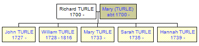 Mini tree diagram