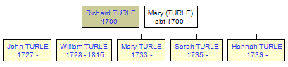 Mini tree diagram