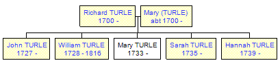 Mini tree diagram