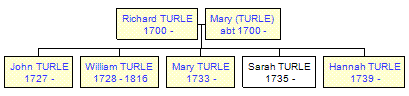 Mini tree diagram