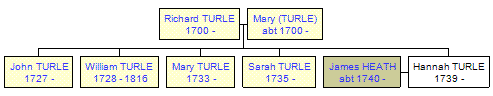 Mini tree diagram