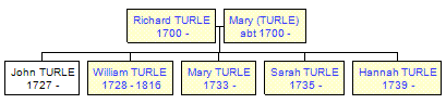 Mini tree diagram