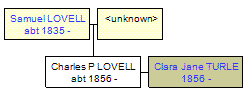 Mini tree diagram