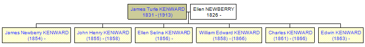 Mini tree diagram