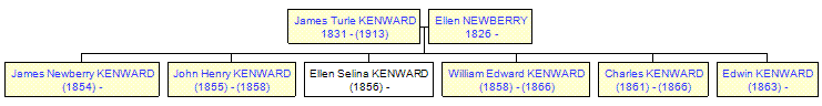 Mini tree diagram