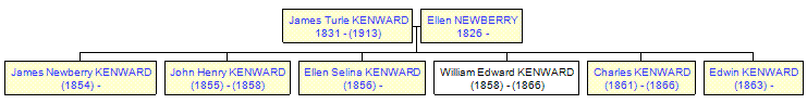 Mini tree diagram