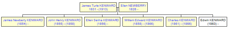 Mini tree diagram