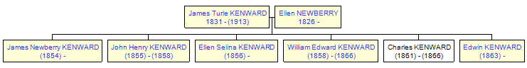 Mini tree diagram