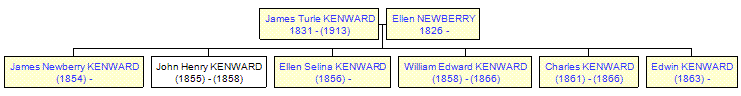 Mini tree diagram