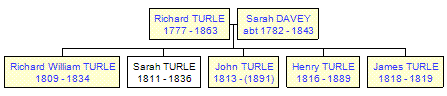 Mini tree diagram