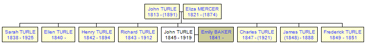 Mini tree diagram