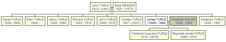 Mini tree diagram