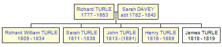 Mini tree diagram