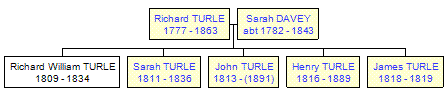 Mini tree diagram