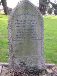 William TURLE
