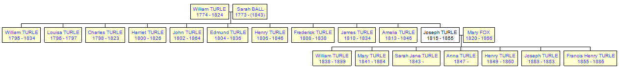 Mini tree diagram