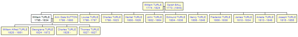 Mini tree diagram