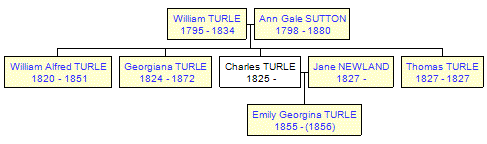 Mini tree diagram