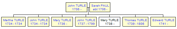 Mini tree diagram