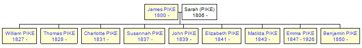 Mini tree diagram