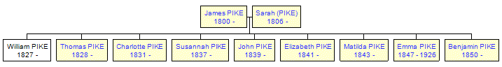 Mini tree diagram