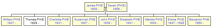 Mini tree diagram